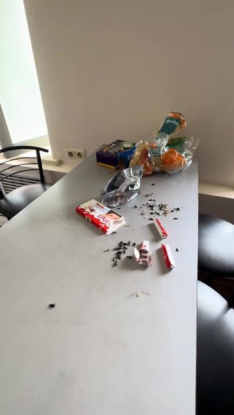 Стіл Стіл зі сміттям